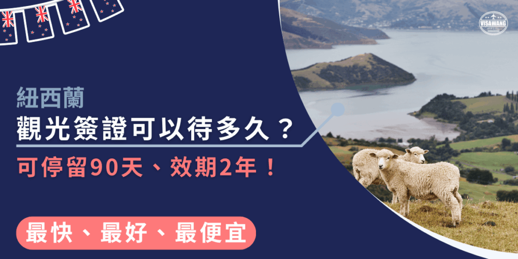 此圖片以紐西蘭觀光簽證為主題,左側以深藍底呈現主標題「觀光簽證可以待多久?」並以亮眼的粉橘色標示重點資訊「可停留90天、效期2年」。右側畫面展示紐西蘭經典的綠色丘陵與湖泊景色,前景有三隻綿羊站在草坡上,象徵當地自然生態與悠閒氛圍。上方加入紐西蘭旗飾元素與簽證王品牌標誌,使畫面更具辨識度。整體視覺專業明確,適合作為紐西蘭簽證資訊懶人包或旅遊文章的封面使用。